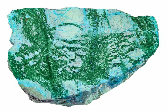 Polished Blue River Chrysocolla Slice - Arizona #167575